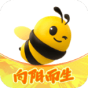 郑钦文止步诺丁汉公开赛第二轮